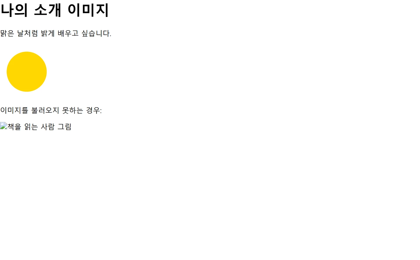 이미지와 대체 텍스트 넣기 — 첫 예제의 실제 실행 결과